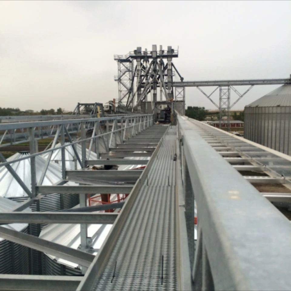 Metal walkway running alongside a conveyor structure above a facility