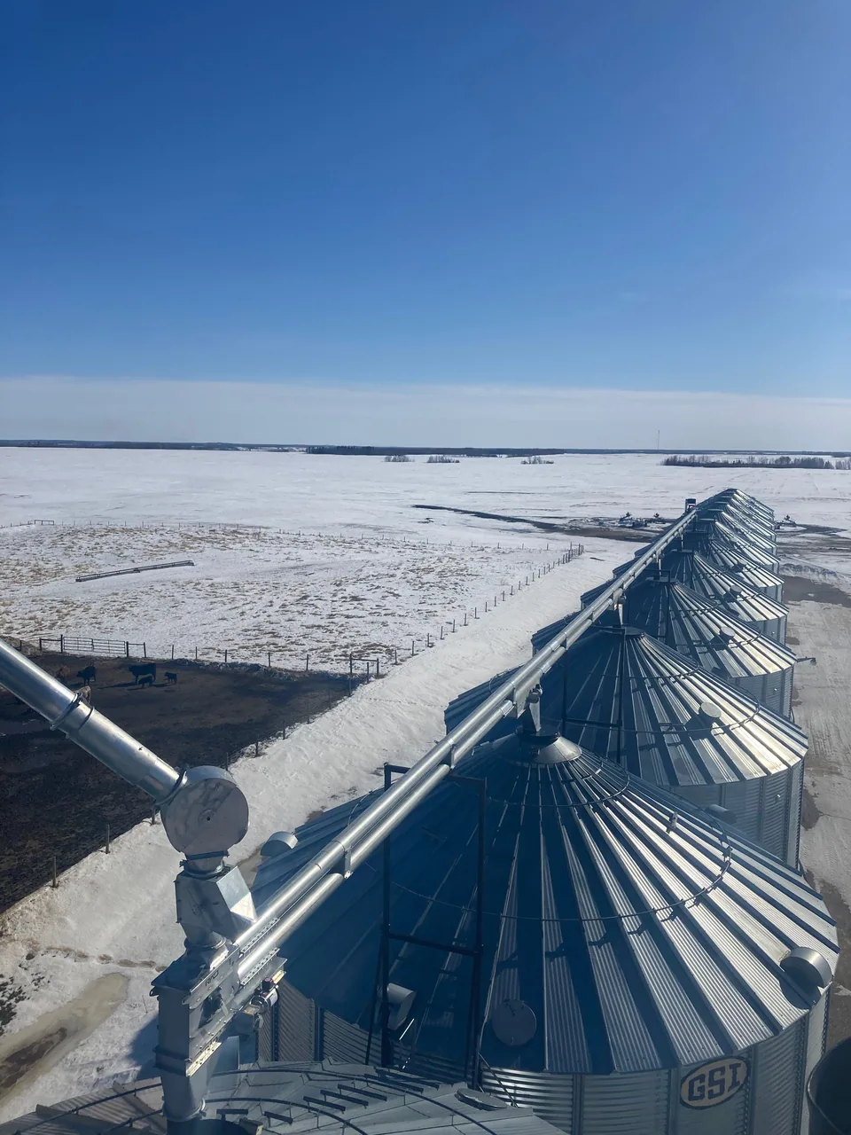 Long double-run conveyor aligned above the storage bins