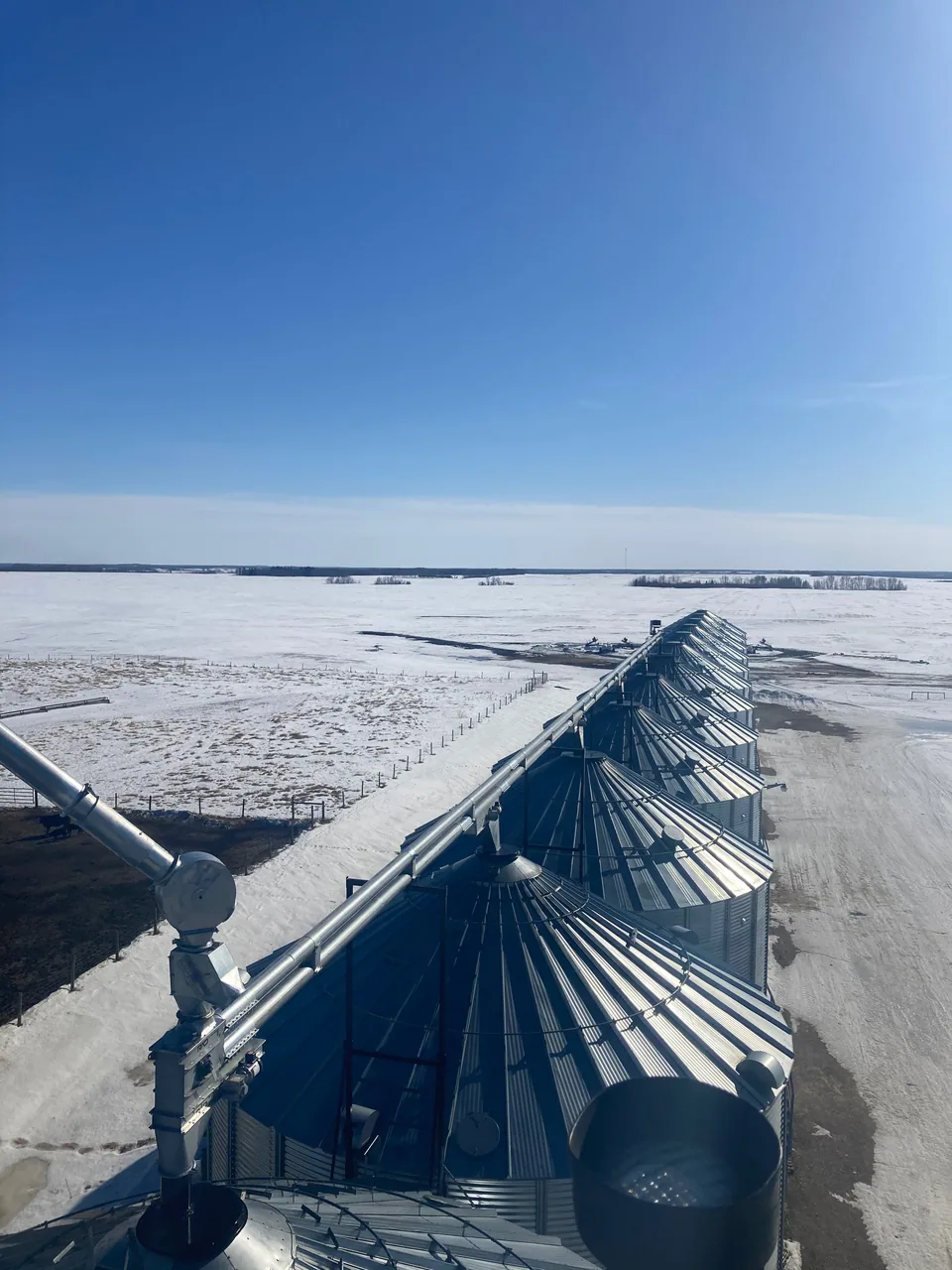 Long double-run conveyor aligned above the storage bins